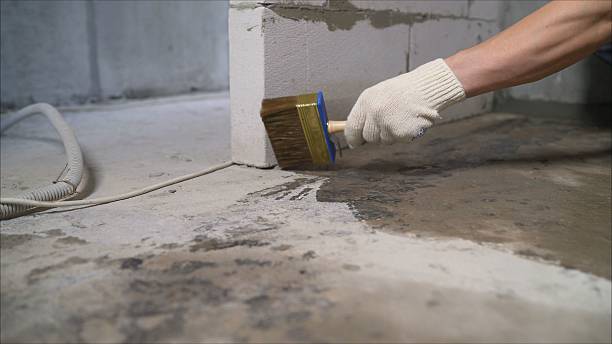 SJ Waterproofing Pros Waterproofing coverage map for Parrottsville, TN and surrounding area